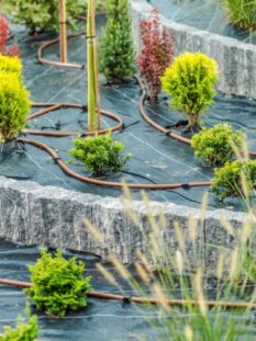 2344400987078-768x503