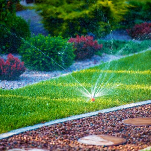 5556756785678-683x1024