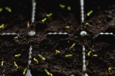 6785678674567567-768x411