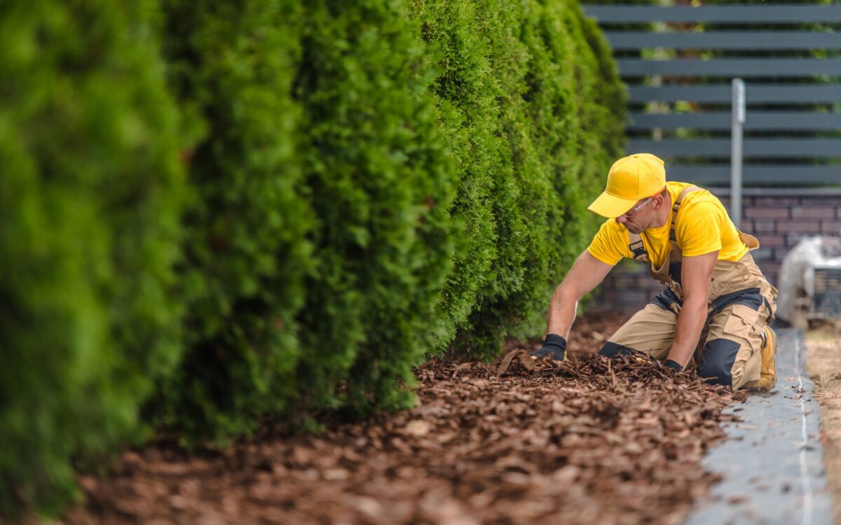 Irrigation System Costs in Kansas City