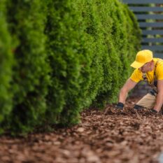 Irrigation System Costs in Kansas City