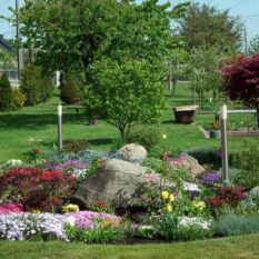 flower-3364197_1920-1500x820