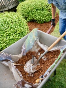 woman-using-a-wheelbarrow-full-of-mulch-as-she-doe-2024-10-14-02-06-19-utc (1)