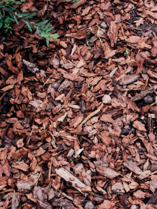 Ed Hardscape & Irrigation