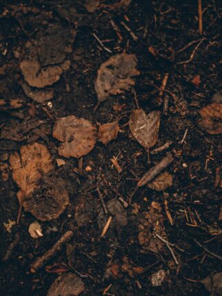 Ed Hardscape & Irrigation