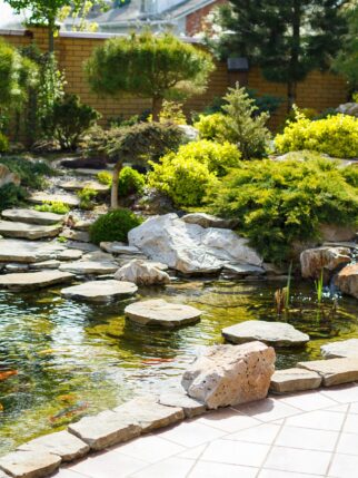 Beautiful nature on a bright sunny day