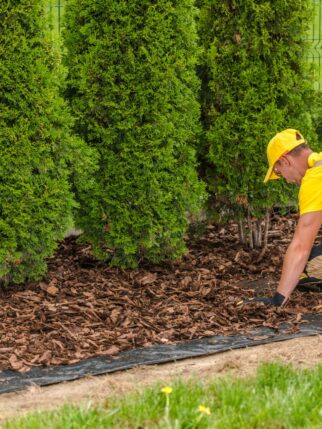 Gardener tending plants in a well-maintained garden.