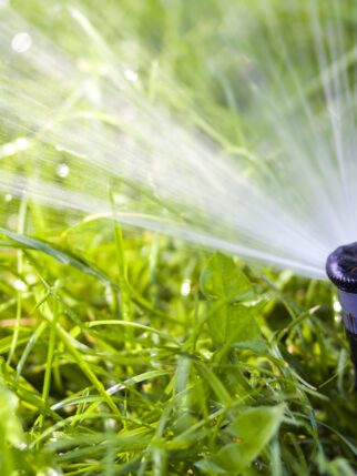 Lawn water sprinkler spraying water over grass in garden on a hot summer day. Automatic watering lawns. Gardening and environment concept.