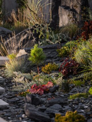 LED light bars illuminating concrete outdoor backyard stairs.