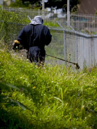 weed-cutter-2025-10-14-07-46-42-utc