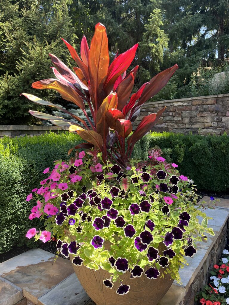 Ed Hardscape Reviews